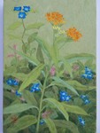 野の花