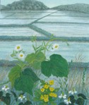 田植え
