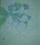 墨田の花火(あじさい)