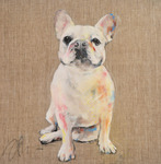 French bulldog