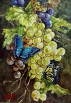 「葡萄とモルフォ蝶」