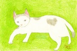 ごろ寝