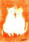 warm