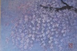 惜しむ春(しだれ桜)