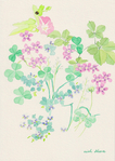 草花ー上野公園ー