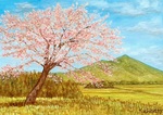 「桜と筑波山」