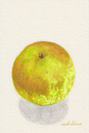 梨