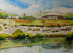 川辺の風景