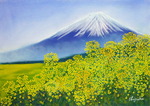 「富士山と菜の花」