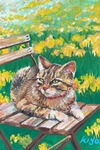A CAT ON THE CHAIR
