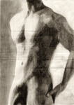 「Male Nude [Study]」