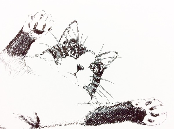 MOFUMOFU