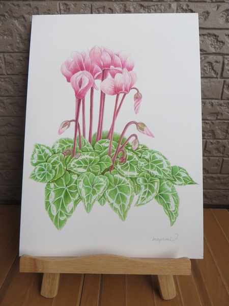 イラストレーションボードなのでそのまま飾れます。