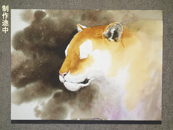 Amazon.co.jp: Canorna 油絵 【虎】動物 カラフルな動物 数字キットによる絵画 塗り絵 北欧 大人 子供 初心者 玄関用 壁掛け  壁飾り DIY絵 デジタル油絵 40 x 50 cm : おもちゃ