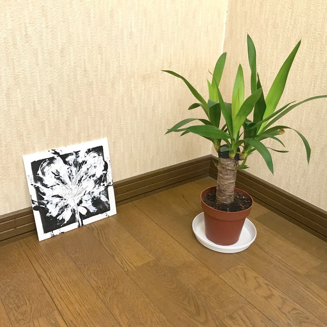 床に飾る。植物と一緒に。