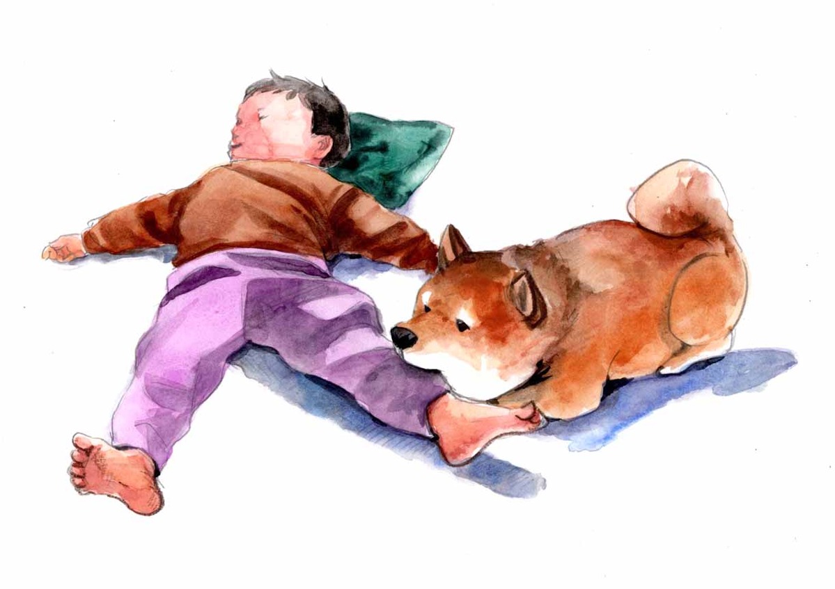 画像単体