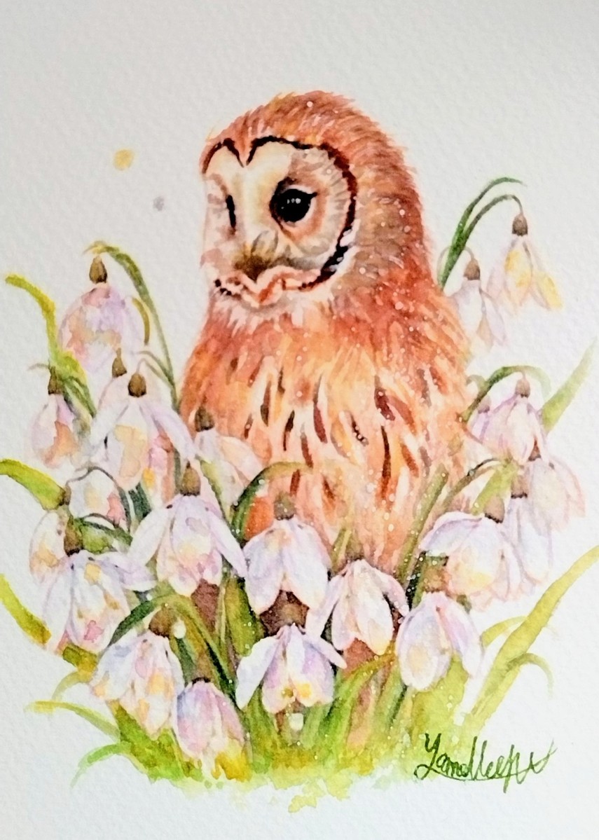 背景に余白を持たせることで、モチーフの繊細な色彩と質感が際立ち、視線が自然とフクロウと花に集中するように描きました。