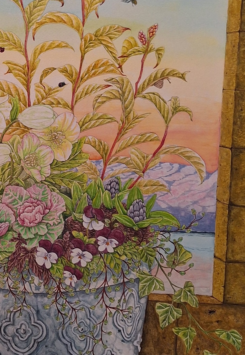 アップの写真です。