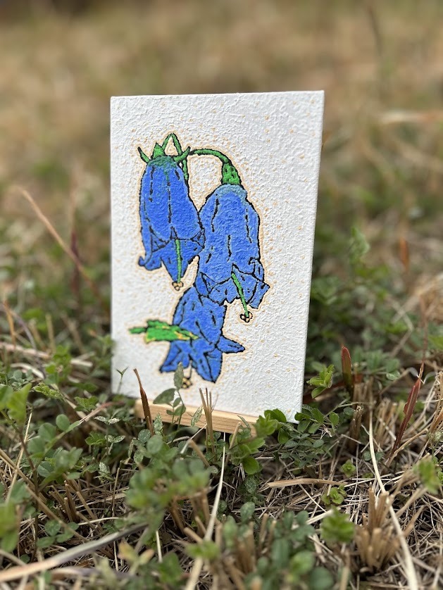 玄関に彩りをたしてみませんか。