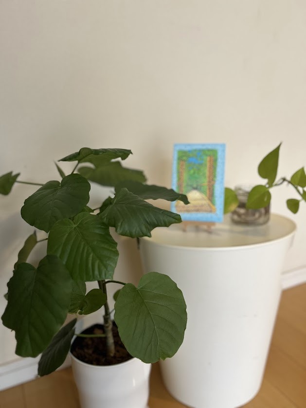 リビングにかざったときのイメージです