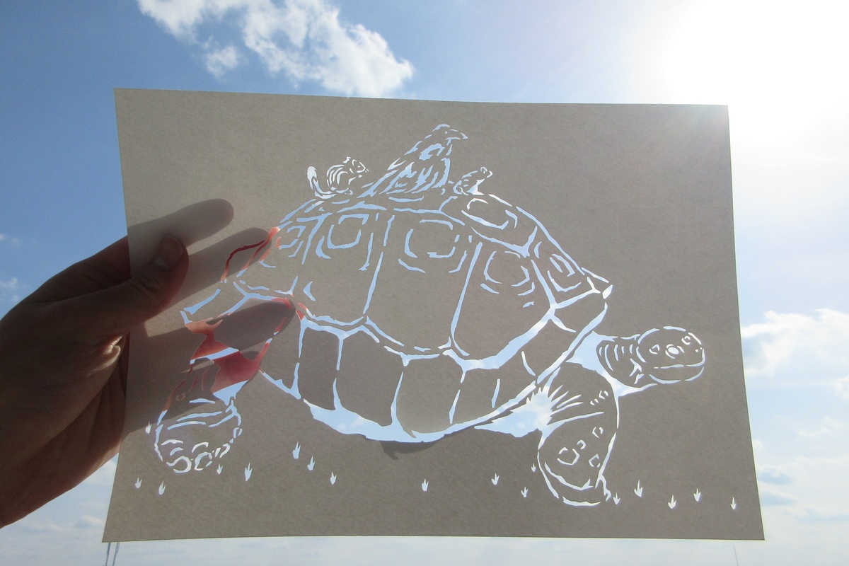 空を背景に撮った写真です。