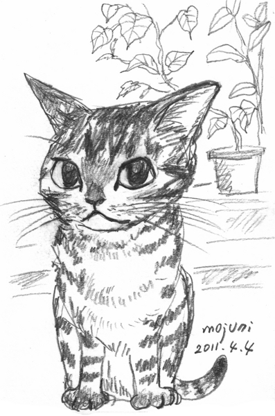 スキャン画像です。