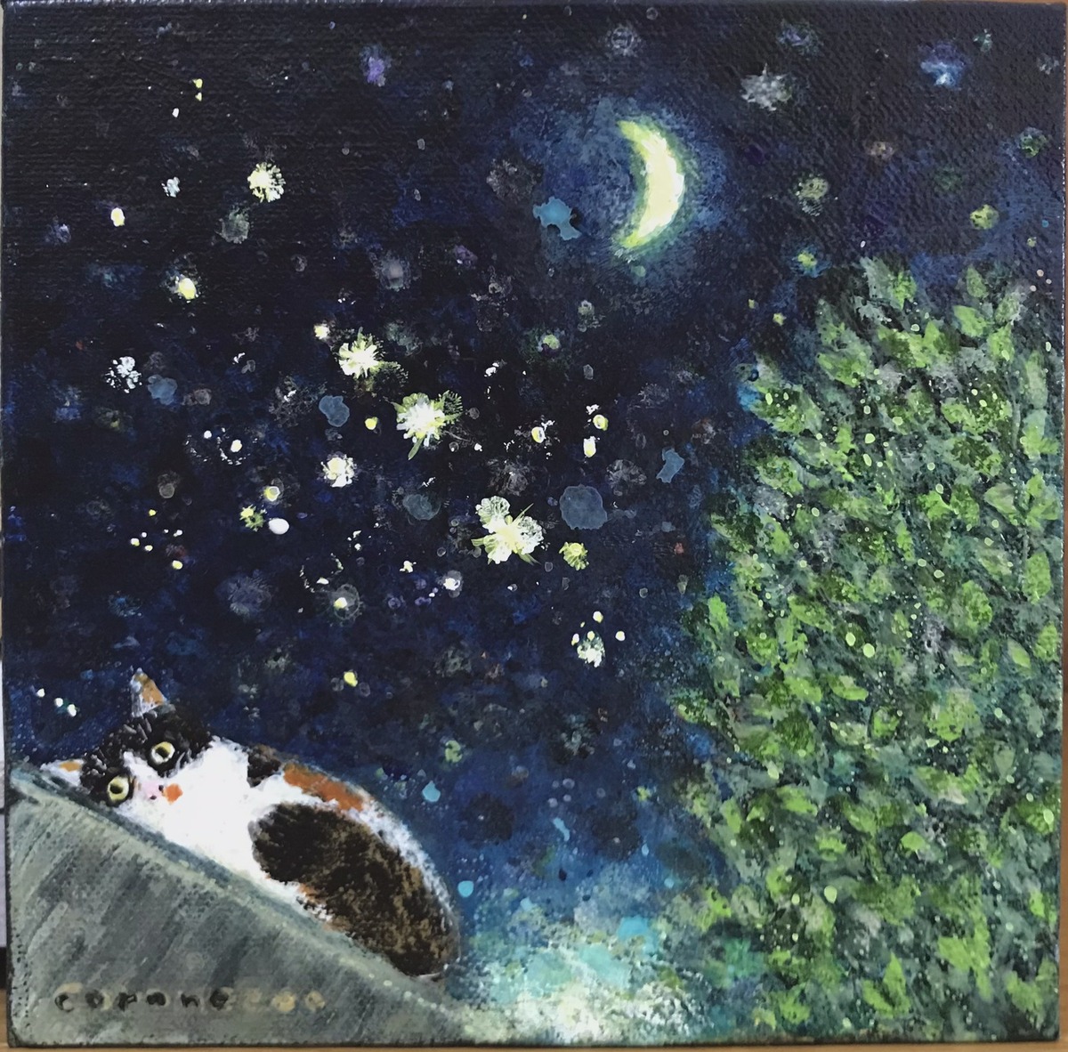 猫と月と星と月桂樹