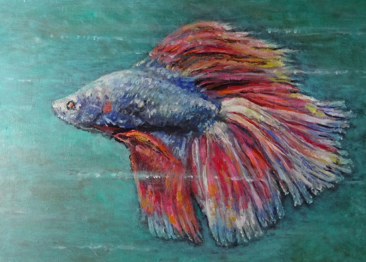熱帯魚 ベタ 油彩 F4
